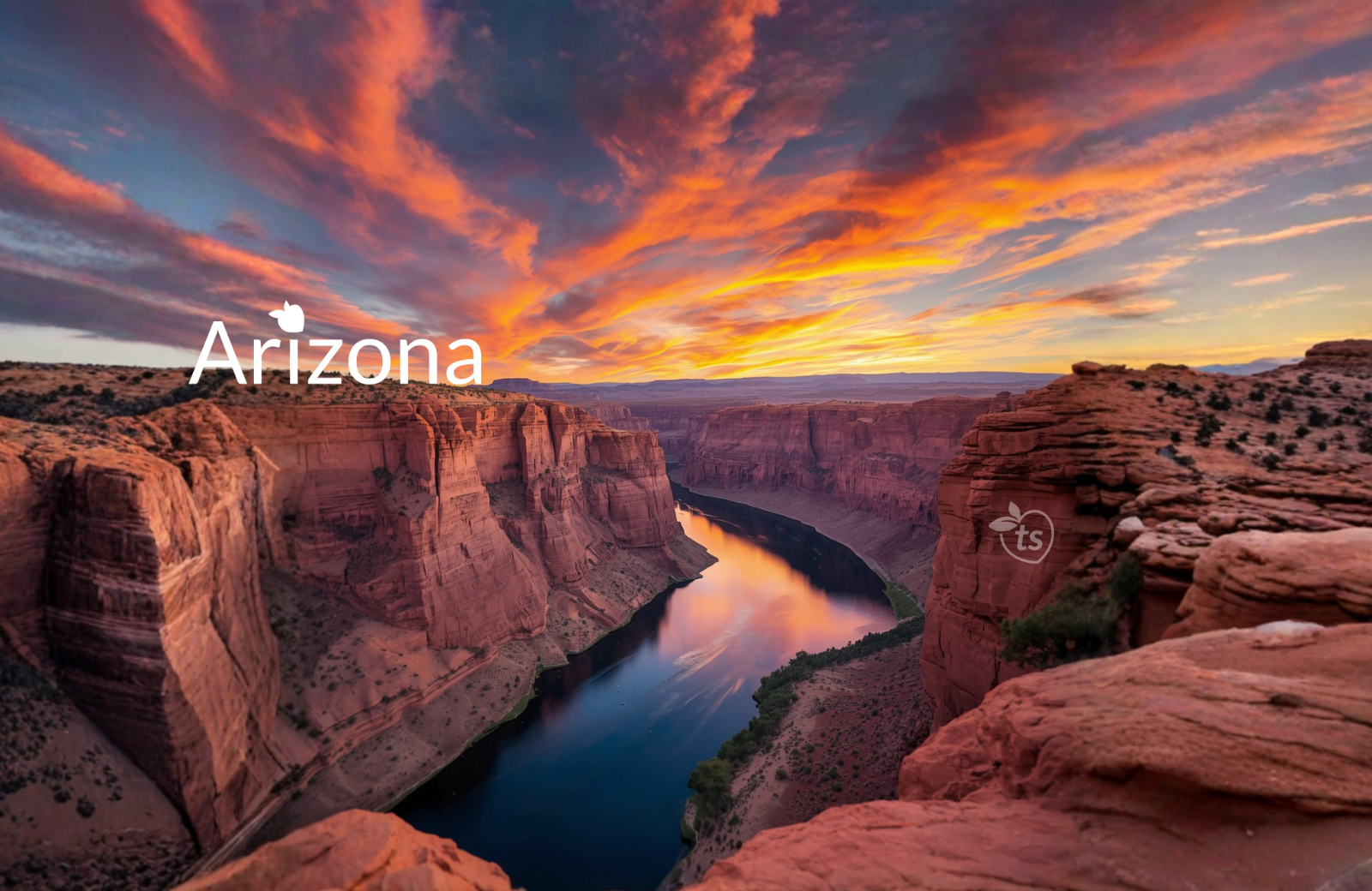 Arizona 🌵